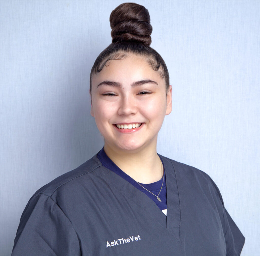 Mobile Vet Atlanta About Us Ask The Vet